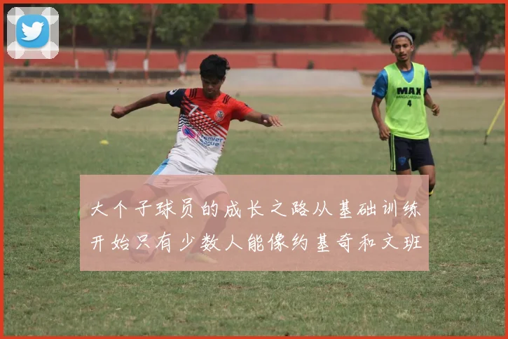 大个子球员的成长之路从基础训练开始只有少数人能像约基奇和文班那样成功